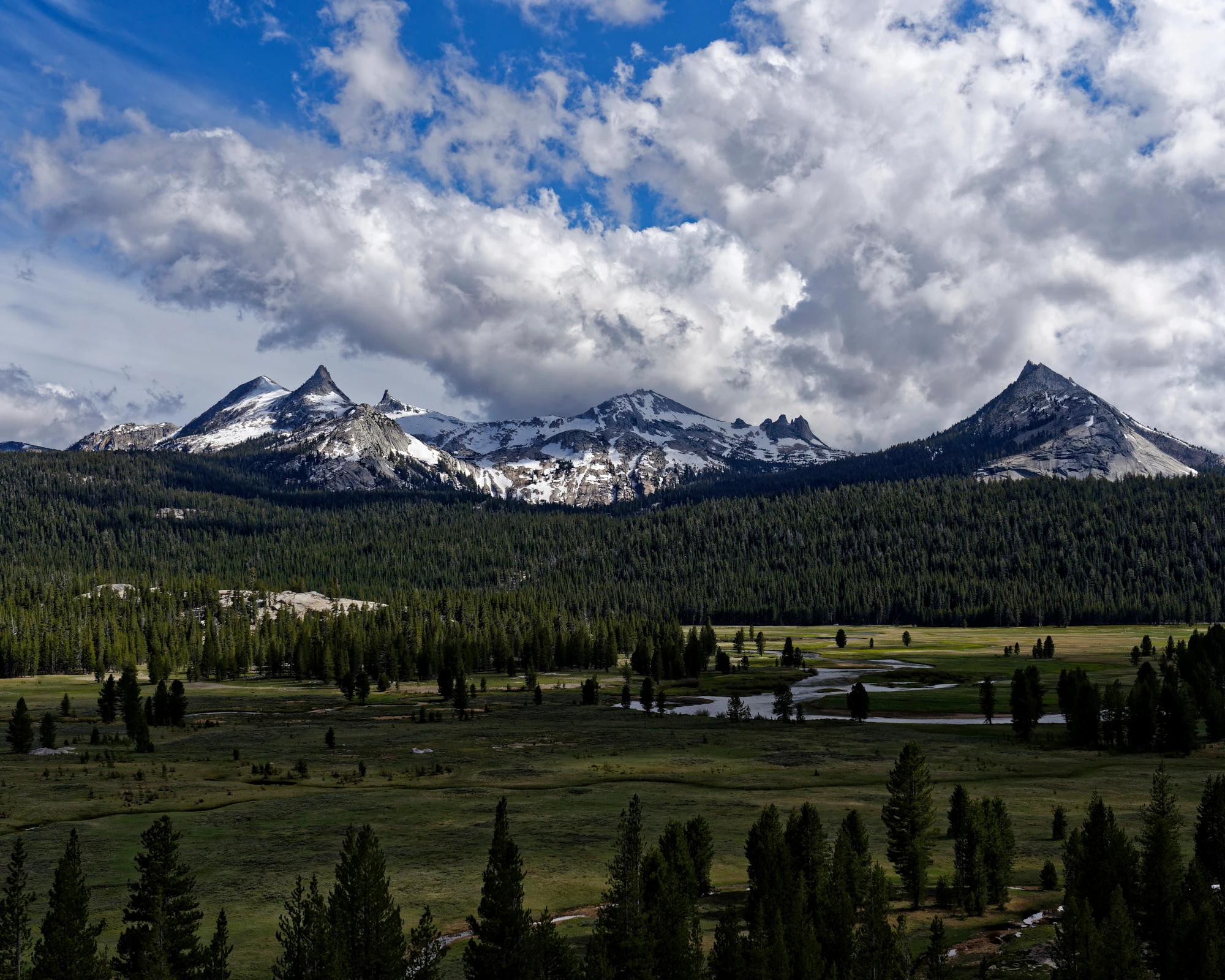 Wilderness